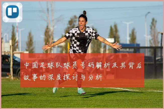 中国足球队球员号码解析及其背后故事的深度探讨与分析