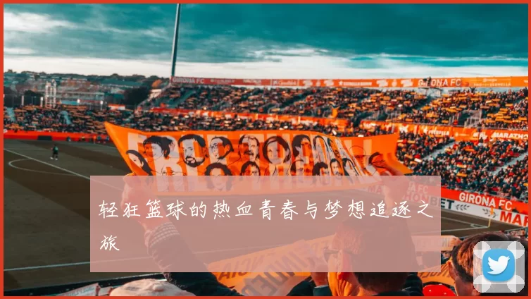 轻狂篮球的热血青春与梦想追逐之旅