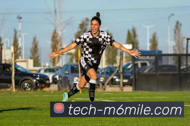 米乐·M6品牌故事